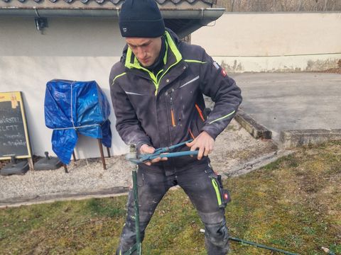 Foto 1 von 16: Die Auswinterungsarbeiten sind in vollem Gang! (vergrößern)