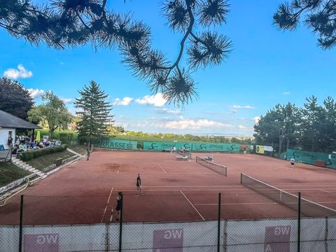 Foto 15 von 313: 10. Bad Vöslauer Thermencup 2026: Eine Woche voller Tennis auf höchstem Niveau (vergrößern)