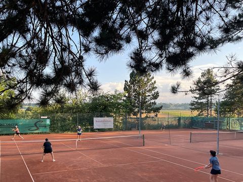 Foto 42 von 313: 10. Bad Vöslauer Thermencup 2026: Eine Woche voller Tennis auf höchstem Niveau (vergrößern)