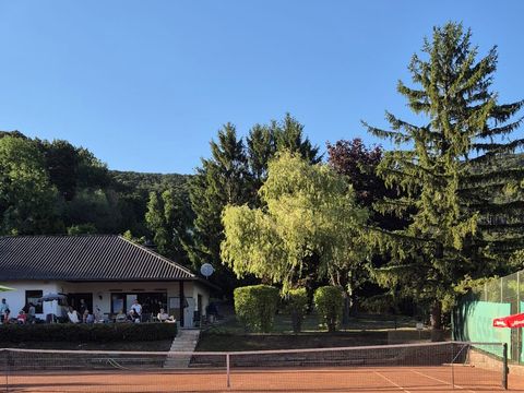 Foto 104 von 313: 10. Bad Vöslauer Thermencup 2026: Eine Woche voller Tennis auf höchstem Niveau (vergrößern)