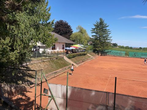 Foto 134 von 313: 10. Bad Vöslauer Thermencup 2026: Eine Woche voller Tennis auf höchstem Niveau (vergrößern)
