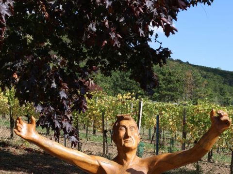 Foto 114 von 114: Gelungenes Saisonabschlussturnier – eine erfolgreiche Tennissaison 2026 geht zu Ende. (vergrößern)